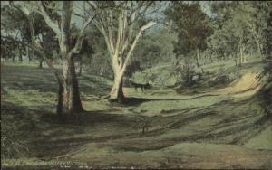 Victoria Australia Coulburn Valley c1910 Postcard