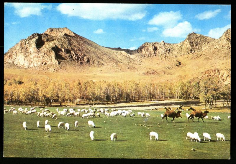 BOGDYN GOL river Landscape MONGOLIA Real Photo MNR Postcard