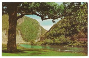 The Delaware Water Gap, Pennsylvania and New Jersey Unused Chrome Postcard, Boat
