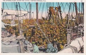 Florida Tarpon Springs The Sponge Fleet After The Catch 1924