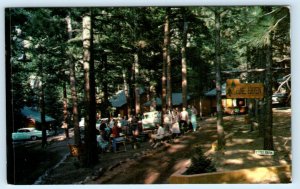 ESTES PARK, CO Colorado ~ Roadside PARK'S PINE HAVEN Resort c1950s Cars Postcard