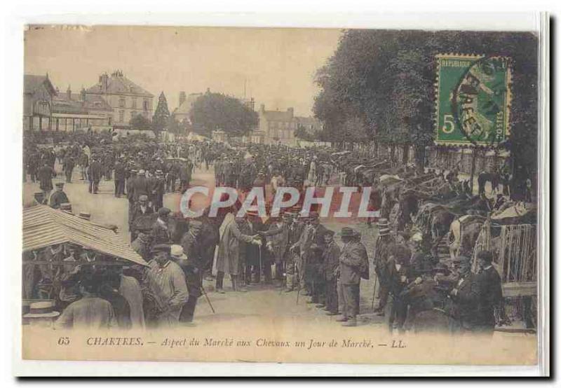 Chartres Old Postcard Aspect of walking horses a day walking