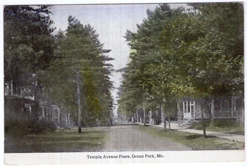 Ocean Park, Me, Temple Avenue Pines