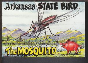 Arkansas State Bird Mosquito Comic Postcard BIN 1395