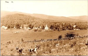 Vermont Peru Panoramic View With Grazing Cattle Real Photo