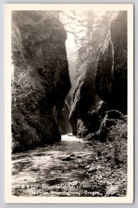 RPPC Oneonta Gorge Columbia River Highway Oregon Real Photo Postcard C40