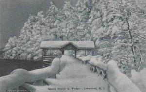 New Jersey Lakewood Kissing Bridge In water