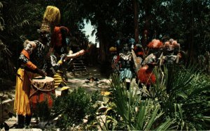 Disneyland Anaheim Headhunter Country Chrome Postcard 08.53