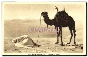 Old Postcard Scenes et Types The Prayer at Desert Camel
