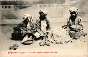 PC CPA SINGAPORE, JUGGLERS, THE FAMOUS GROWNG MANGO TREE, POSTCARD (b4294)