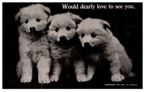 Dog , Puppies , Would dearly love to see you
