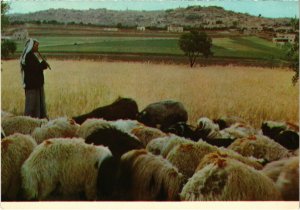 CPM Bethlehem - Shepherd's Field ISRAEL (1030424)