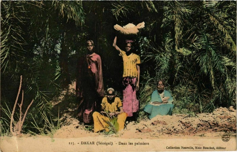 CPA AK Dakar - Dans les Palmiers SENEGAL (778804)