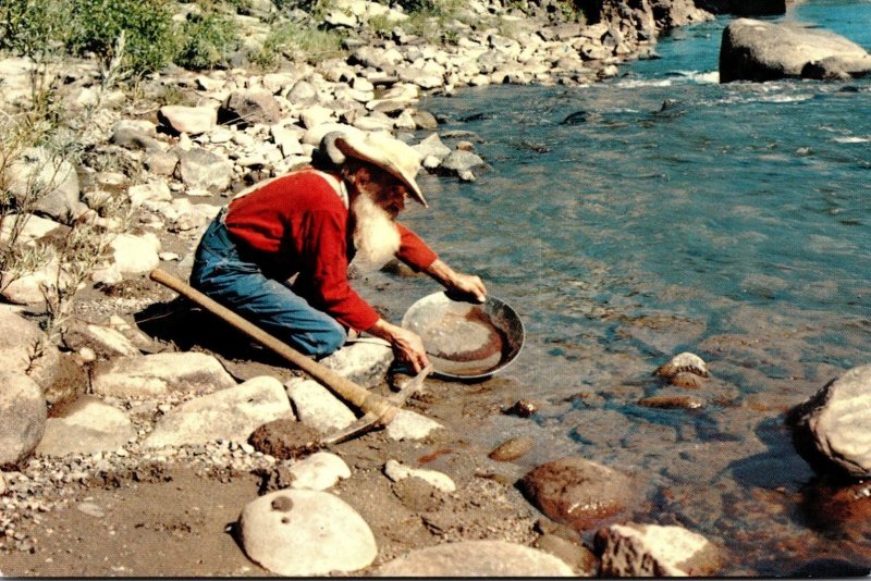 California The Old Miner Panning For Gold