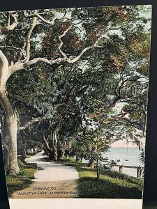 Postcard Antique View of Bostrom Oaks on River Road in Ormond, FL.   U6