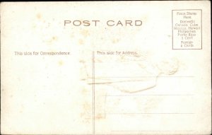 Abraham Lincoln Portrait Embossed Airbrushed Bark Border c1910 Postcard