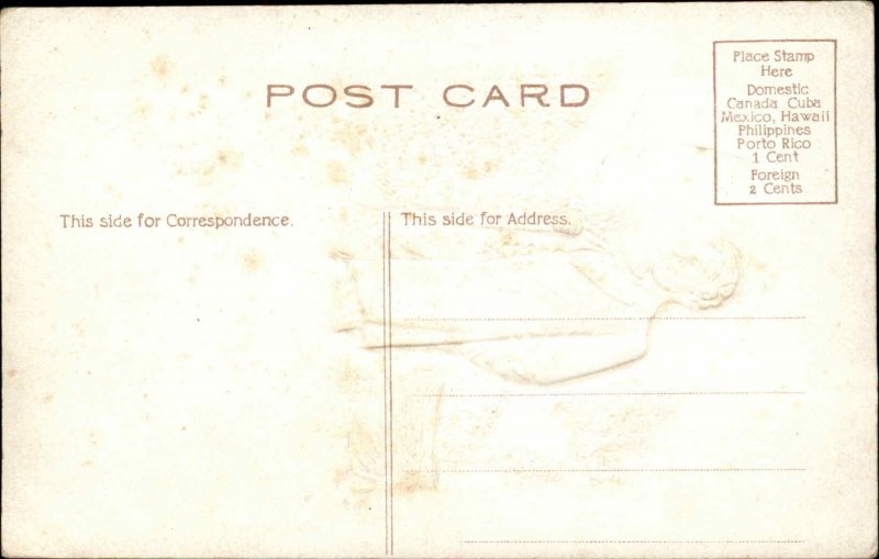 Abraham Lincoln Portrait Embossed Airbrushed Bark Border c1910 Postcard