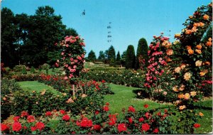 Chocolate Town Rose Garden Flame Postcard PM Cancel WOB Note VTG Dexter Vintage