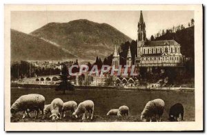 Old Postcard Lourdes Basilica and the Pic Du Jer Sheep