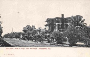 Broadway West from Tremont Galveston Texas 1905c postcard