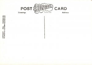 Devon Postcard - Abbey Gardens, Torquay   RRR421