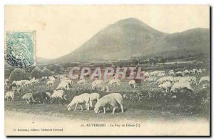 Old Postcard Auvergne Puy de Dome Sheep
