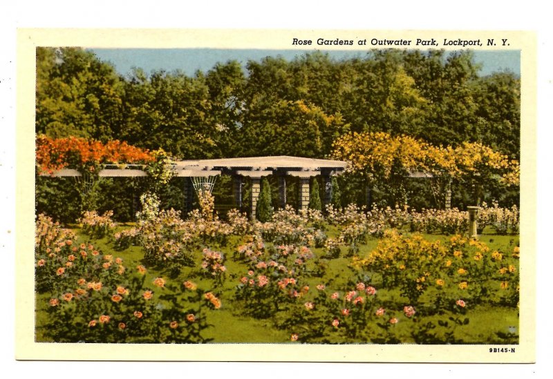 NY - Lockport. Outwater Park Rose Gardens