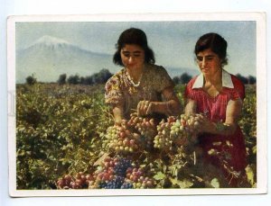 238972 USSR ARMENIA grape harvest in the Ararat valley old