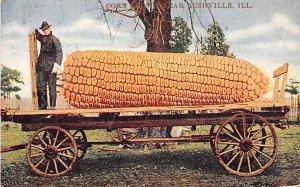Corn Rushville, Illinois, USA 1909 