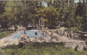 California Cobb Lake County Pine Grove Resort Swimming Pool Handcolored Alber...