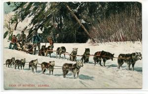 Husky Dog Sled Team Alaska 1909 postcard