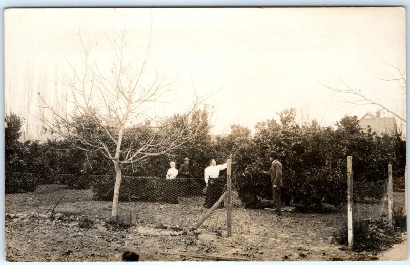 x2 SET c1910s Family Farm House RPPC 2 Couples Fruit Trees Horse Carriage A146