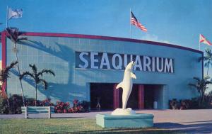 FL - Miami. Seaquarium