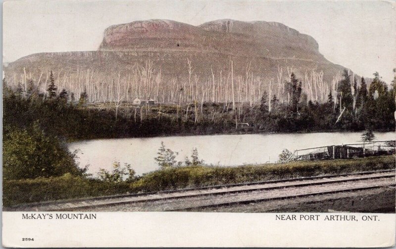 McKay's Mountain near Port Arthur Ontario ON Unused Postcard H49 *as is