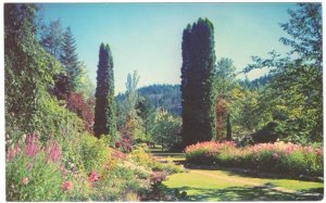 The Butchart Gardens, Victoria, British Columbia, Vintage Chrome Postcard #3