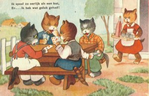 Cats Dressed as Humans Playing Cards Kittens Vintage Postcard 07.10
