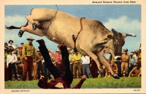 Oklahoma Rodeo Scene Steer Riding Howard Roberts Thrown From Steer Curteich