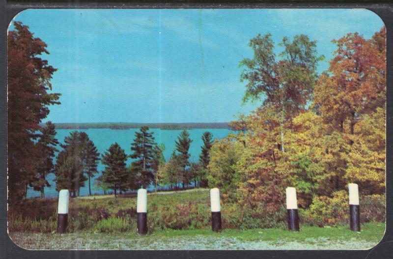 Green and Gold Lake Region,MI BIN