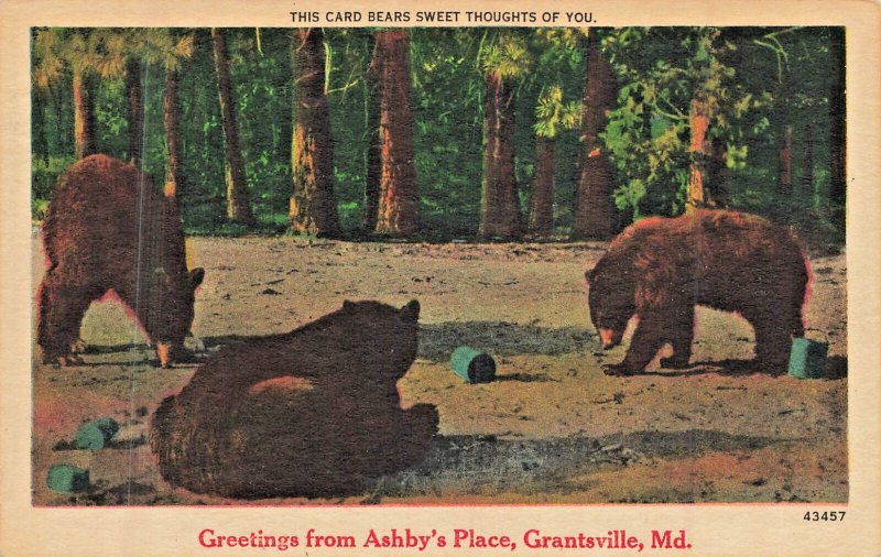 Grantsville Maryland MD~Greetings from Ashby's Tavern Place~1940s Postcard