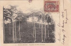 B81200 magna matadi plantatio de cafe congo   front/back image