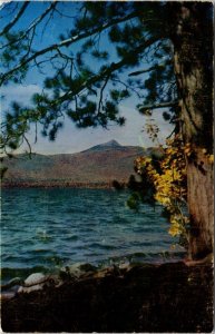 Mt Chocorua Matterhorn America New Hampshire NH Postcard Mike Roberts VTG UNP