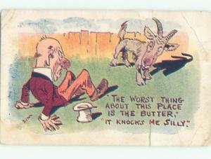 Divided-Back ANIMAL SCENE Great Postcard AA9598