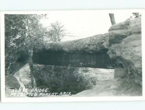 Pre-1950 rppc NICE VIEW Petrified Forest National Park - Holbrook AZ W0465