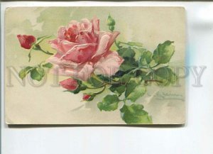 482182 Catharina KLEIN Pink ROSE Flowers Vintage postcard EMBOSSED 1904 year