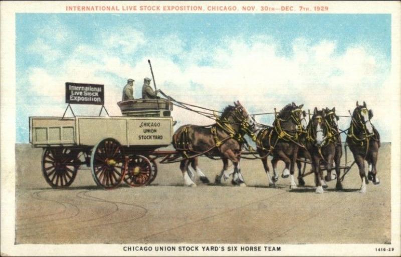 1929 International Live Stock Expo Chicago IL 1929 6 Horse Team Postcard