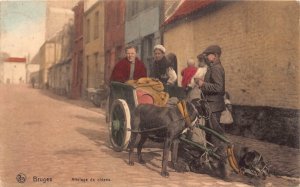 Belgium 1919 Bruges Attelage de chiens Dog Cart Peasants postcard B913