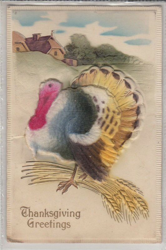 Novelty very embossed Thanksgiving turkey fantasy greetings postcard