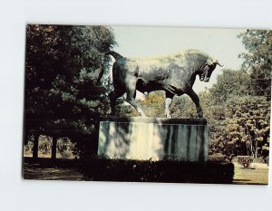 Postcard The Big Bull Historic Long Island Smithtown New York USA