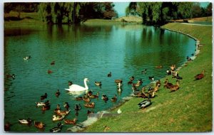 Postcard - Beautiful Lake Shore Park - Ashtabula, Ohio