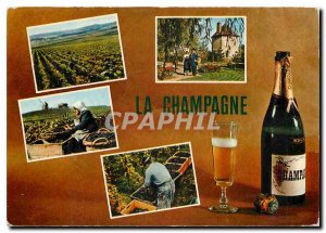 Postcard Modern Champagne